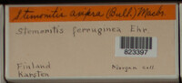 Image Associated With the Occurence
